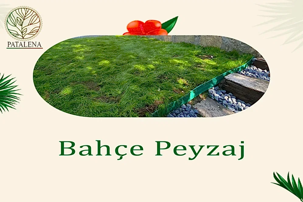 Bahçe Peyzaj
