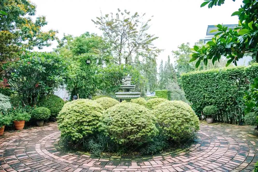 Villa Bahçe Peyzaj